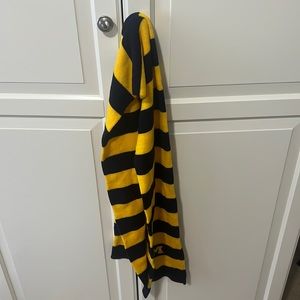 University of Michigan scarf